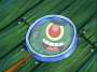 Plankton