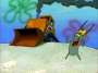Plankton
