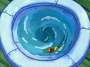 Plankton