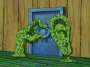Famille Plankton