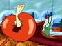 Plankton