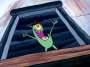 Plankton