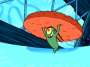 Plankton