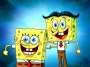 Plankton
