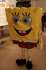 Un vrai Bob l'�ponge