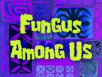 Fungus among us  -  La mousse verte