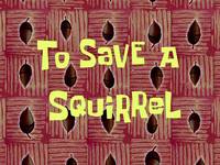 To save a squirrel  -  Le test du survivant