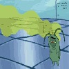 Plankton